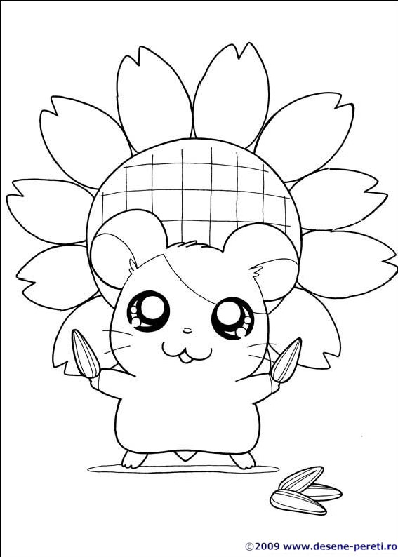 hamtaro desene colorat